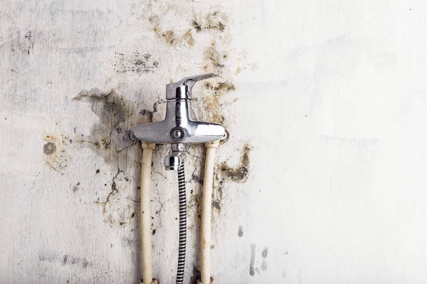Best Water Damage Restoration  in Onset, MA